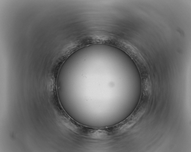X0000112800463200908281532