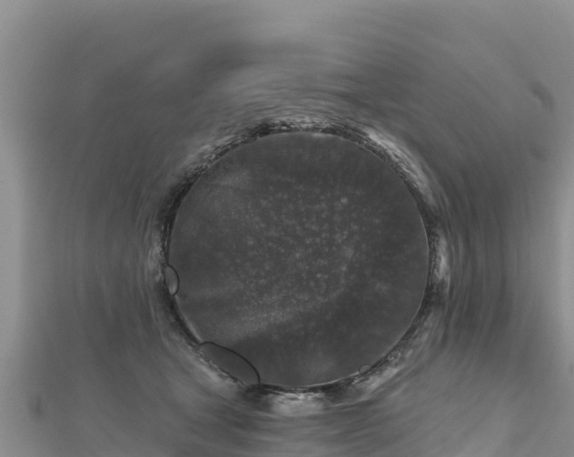 X0000112800465200908281532