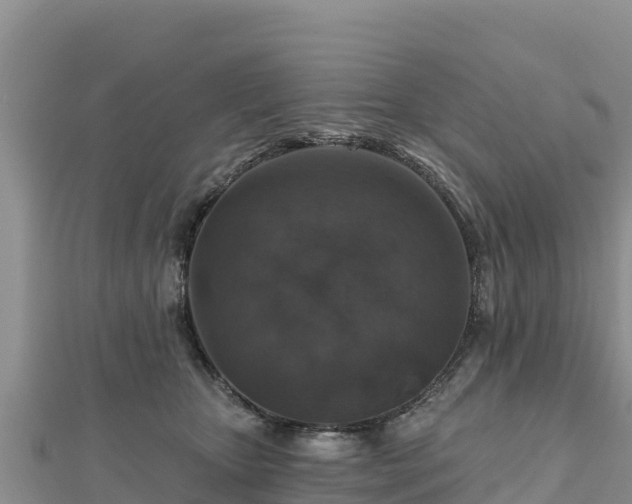 X0000112800467200908281532