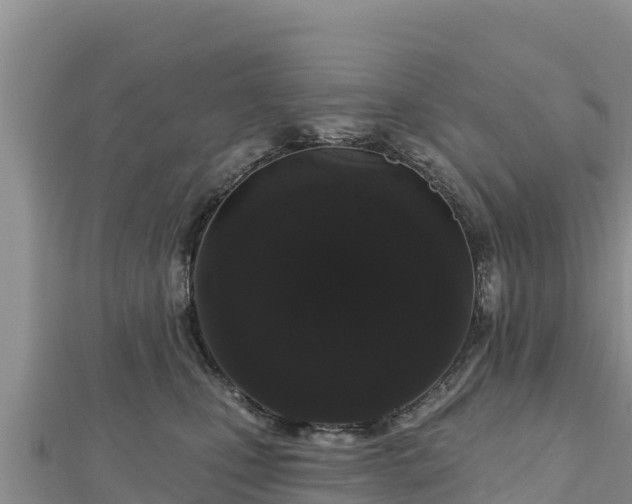 X0000112800471200908281532