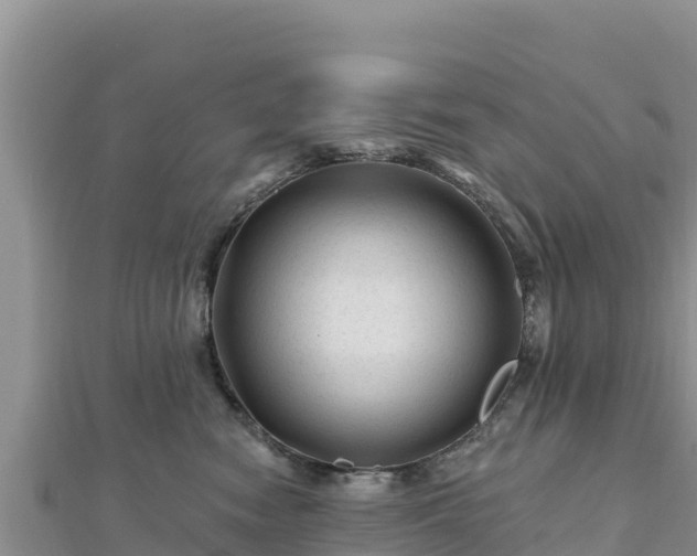 X0000112800474200908281532