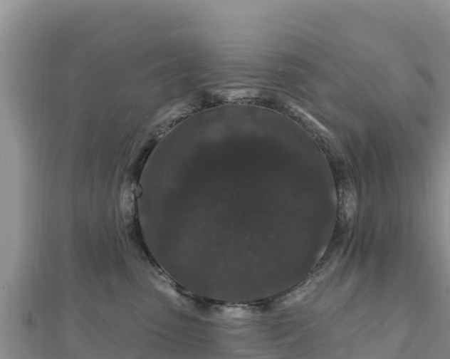 X0000112800475200908281532