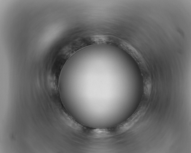 X0000112800477200908281532