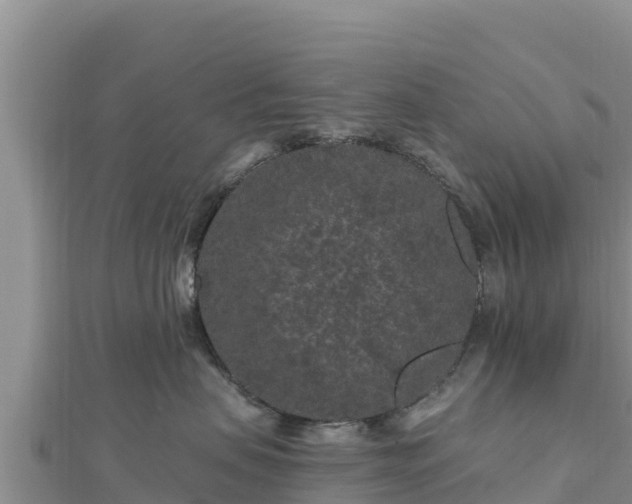 X0000112800479200908281532