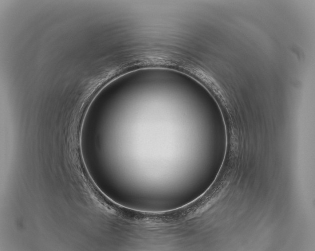 X0000112800481200908281532