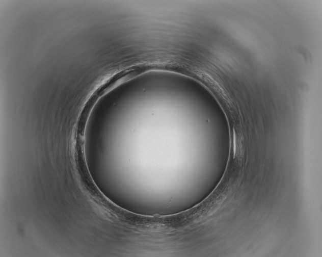 X0000112800483200908281532