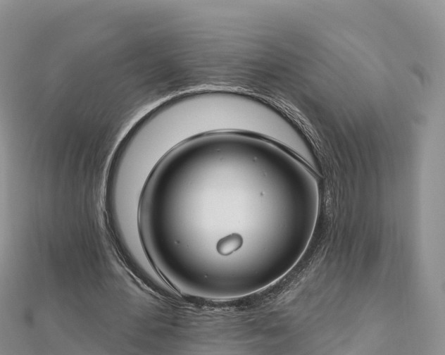 X0000112800484200908281532