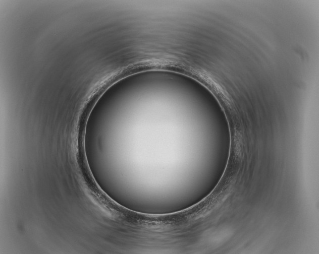 X0000112800486200908281531
