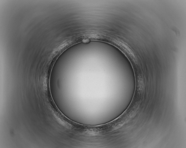 X0000112800489200908281531