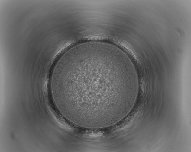 X0000112800491200908281531
