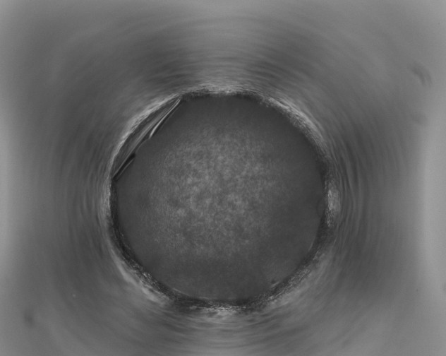 X0000112800492200908281531