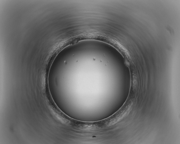 X0000112800493200908281531