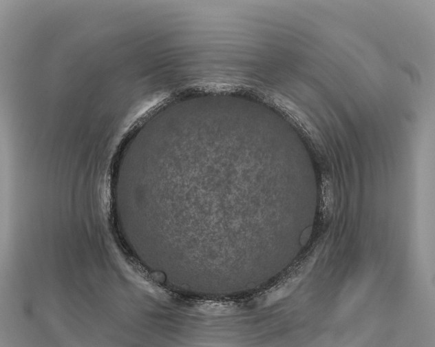 X0000112800494200908281531