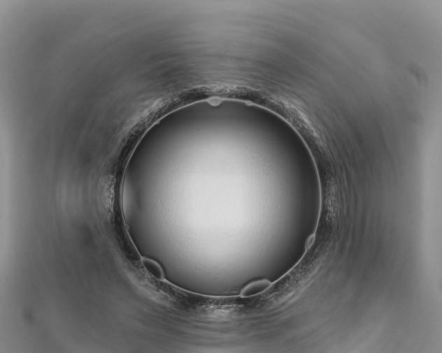 X0000112800495200908281531