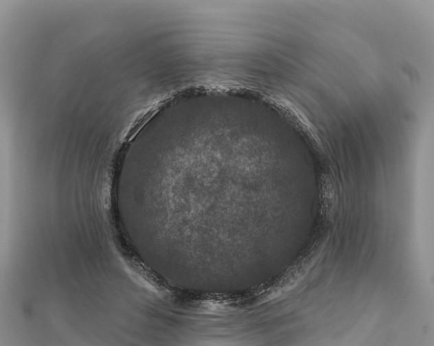 X0000112800496200908281531