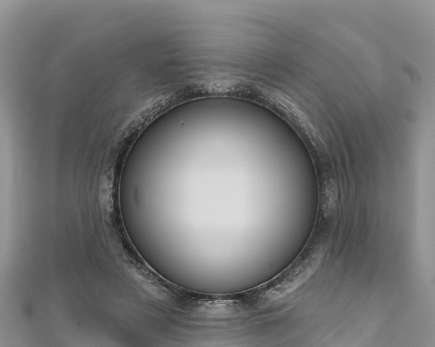 X0000112800497200908281531