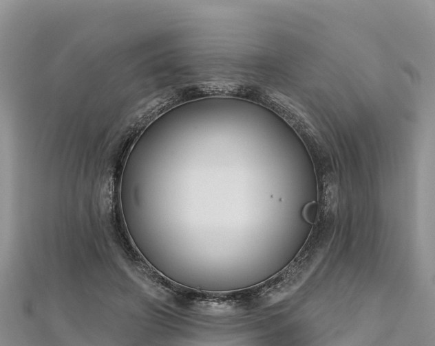 X0000112800498200908281531