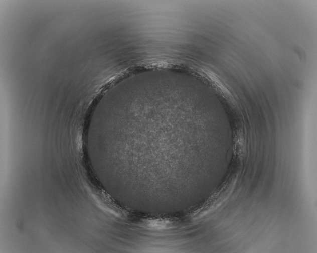 X0000112800500200908281531