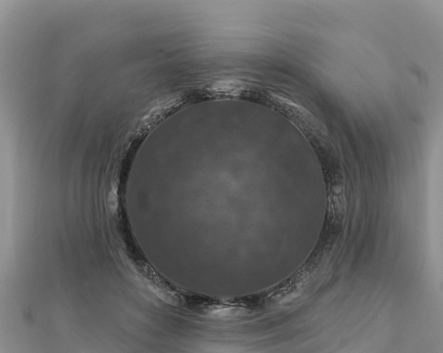 X0000112800504200908281531