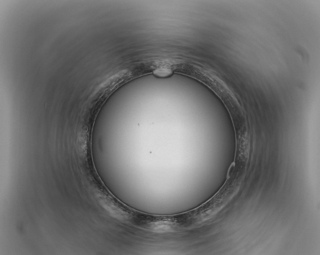 X0000112800505200908281531