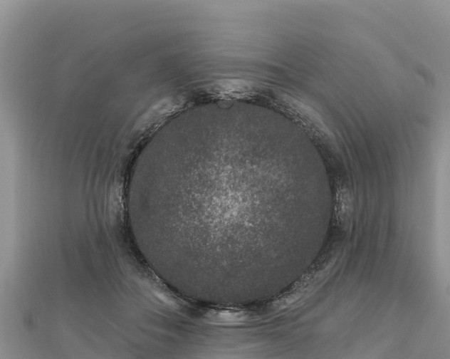 X0000112800506200908281531