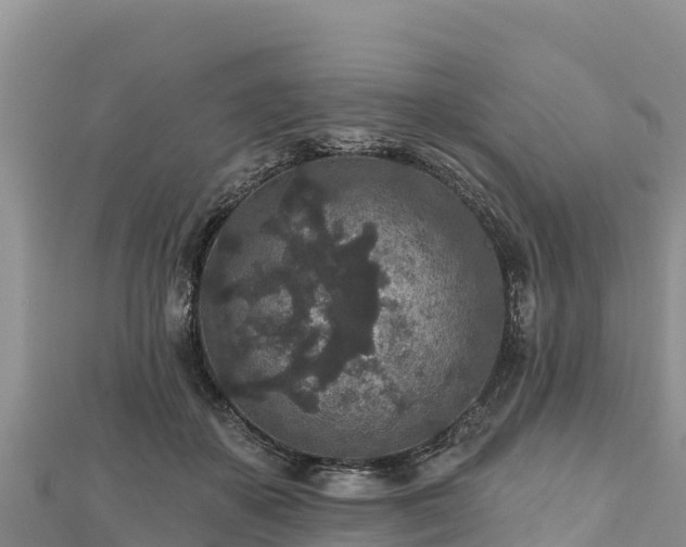 X0000112800507200908281531