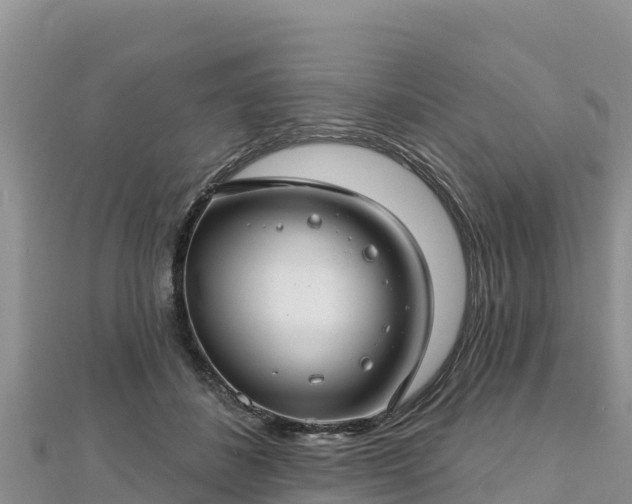 X0000112800508200908281531