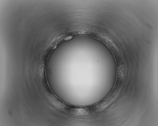 X0000112800509200908281531