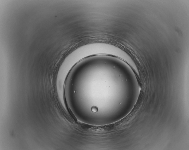X0000112800512200908281531