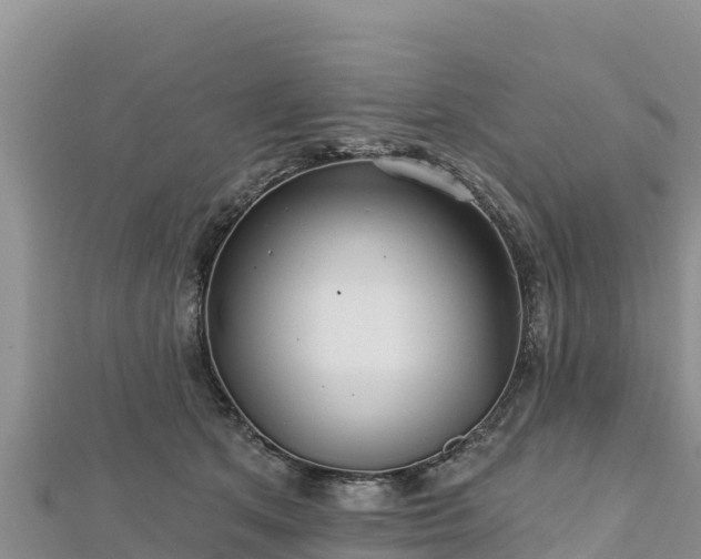 X0000112800513200908281531