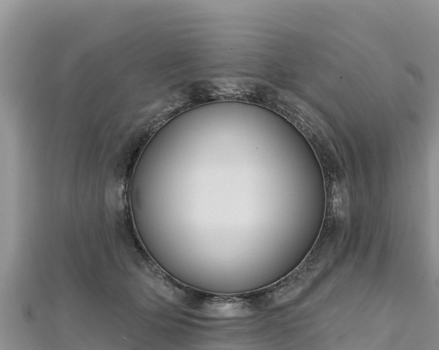 X0000112800514200908281531