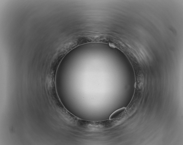X0000112800515200908281531