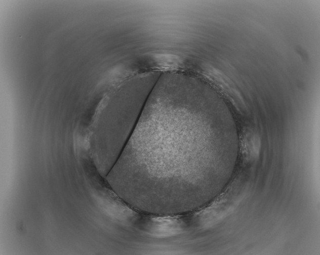 X0000112800516200908281531