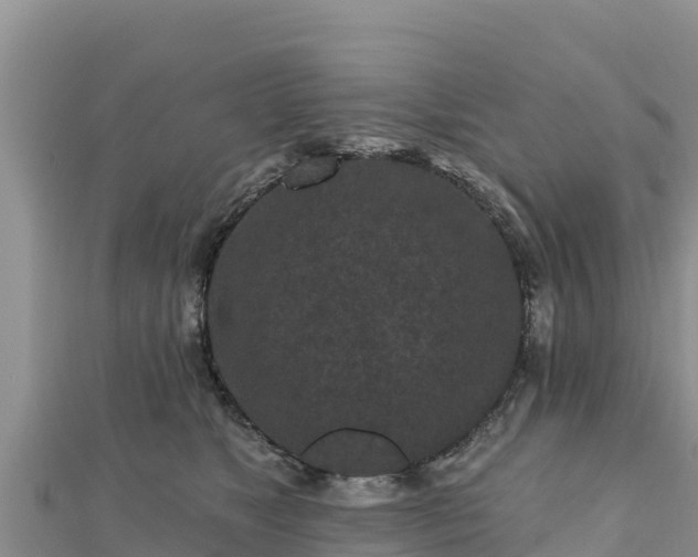 X0000112800517200908281531