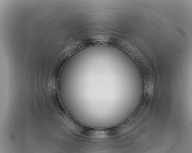 X0000112800518200908281531