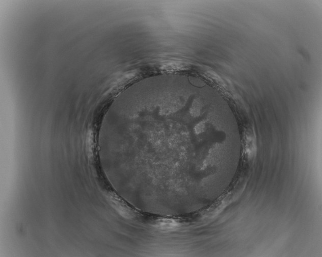 X0000112800519200908281531