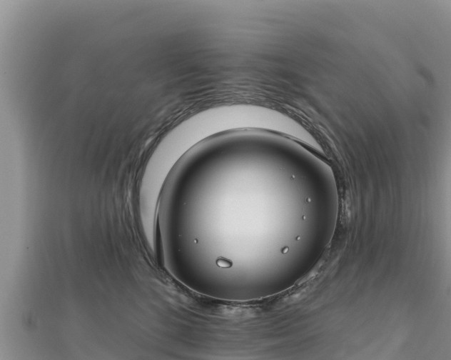 X0000112800520200908281531