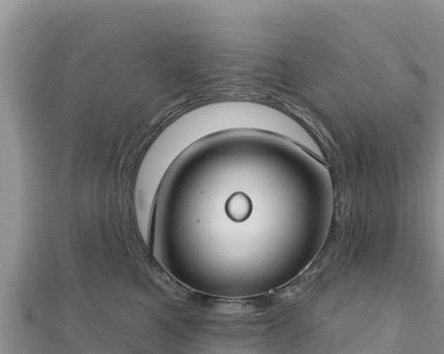 X0000112800521200908281531