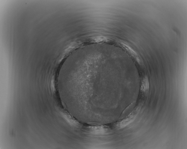 X0000112800524200908281531