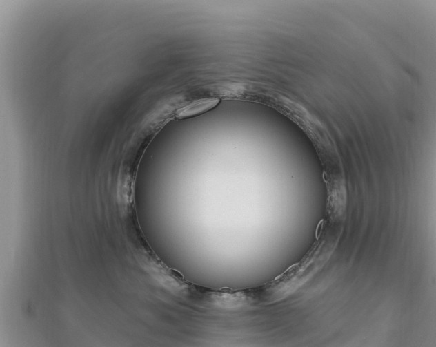 X0000112800525200908281531