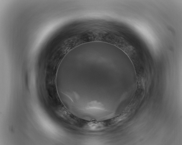 X0000112800526200908281531