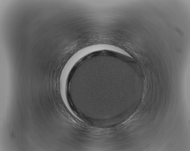 X0000112800528200908281531