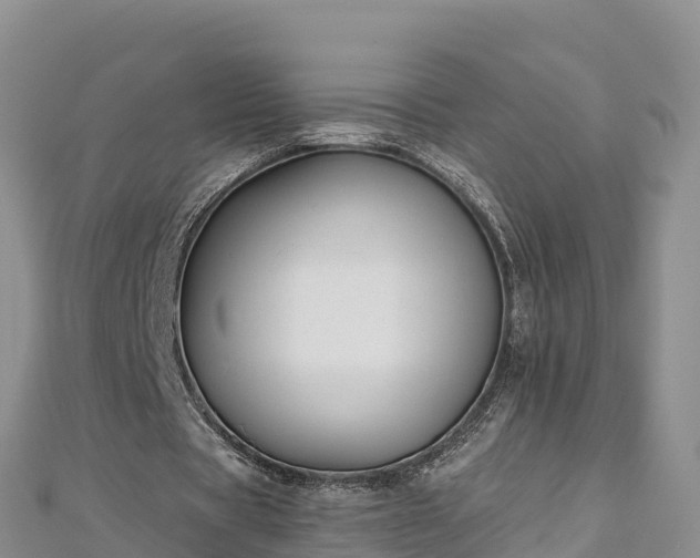 X0000112800529200908281530