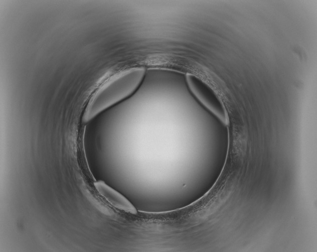 X0000112800530200908281530