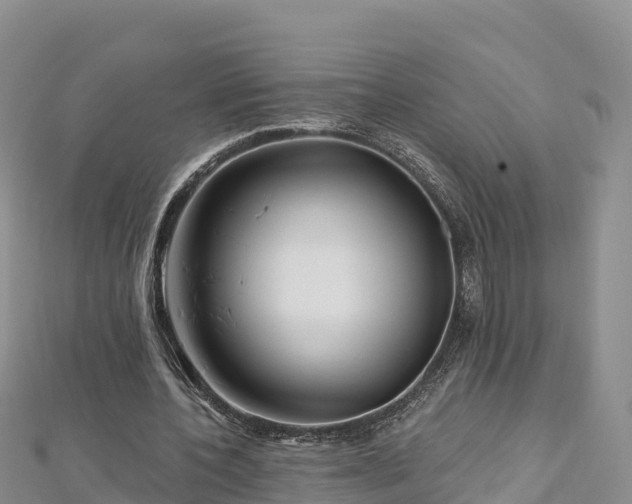 X0000112800532200908281530