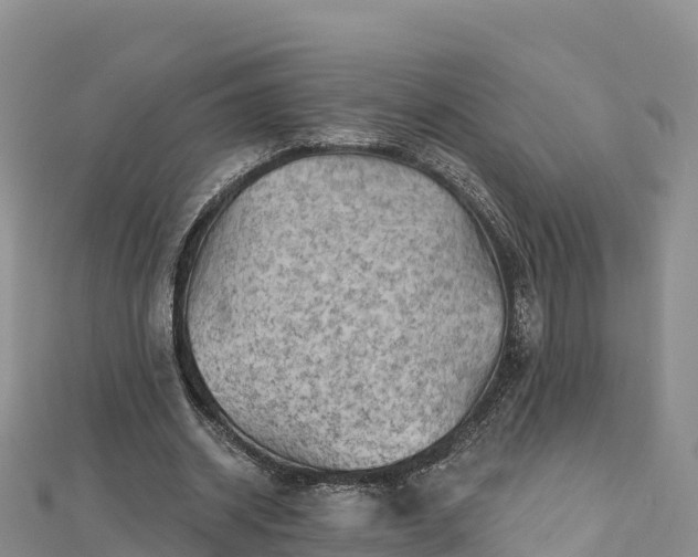 X0000112800534200908281530