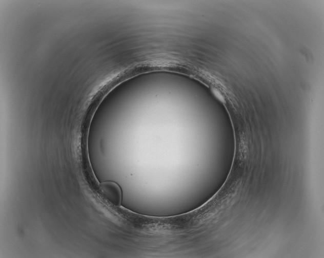 X0000112800535200908281530