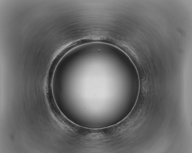 X0000112800536200908281530