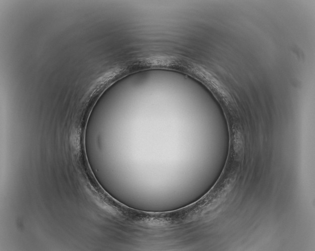 X0000112800537200908281530