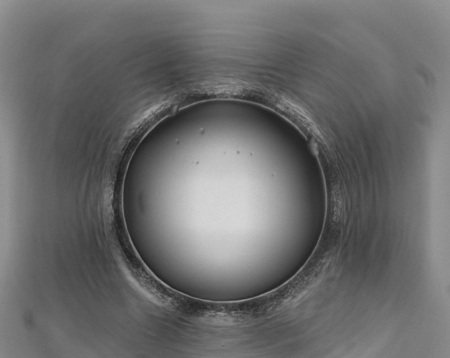 X0000112800538200908281530